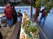 Rozsvícení stromečku v obci Vlkava